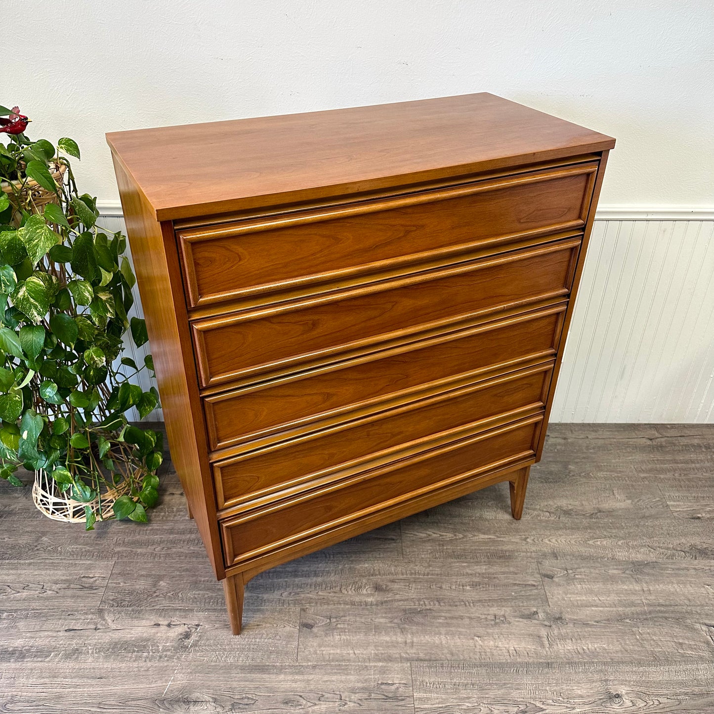 Mid Century 5 Drawer Chest